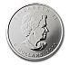 Canadian Grizzly Bear, Wildlife Series, 1oz Silver, 2011