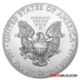 Monster Box - 2021 Silver American Eagles