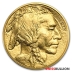 1 Ounce 2021 Gold American Buffalo