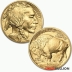 1 Ounce 2022 Gold American Buffalo