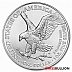 Monster Box, 1 Ounce 2023 Silver American Eagle Coin - 500 Coins
