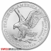 Monster Box, 1 Ounce 2024 Silver American Eagle Coin - 500 Coins