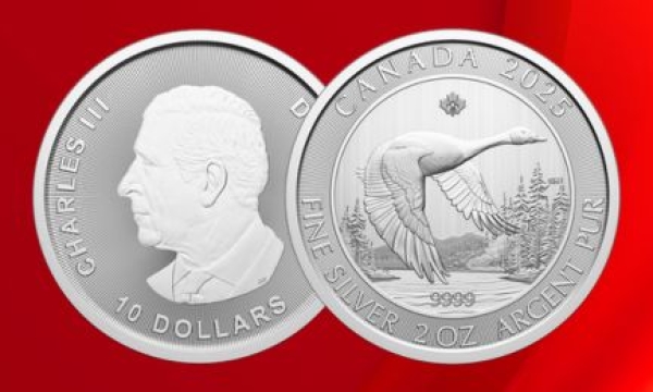 The 2 Oz 2025 Canada Goose Silver Coin - Available Now