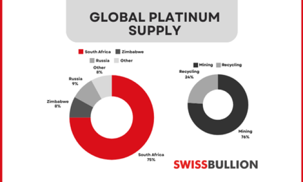 What Factors Influence Platinum Prices in the Market?
